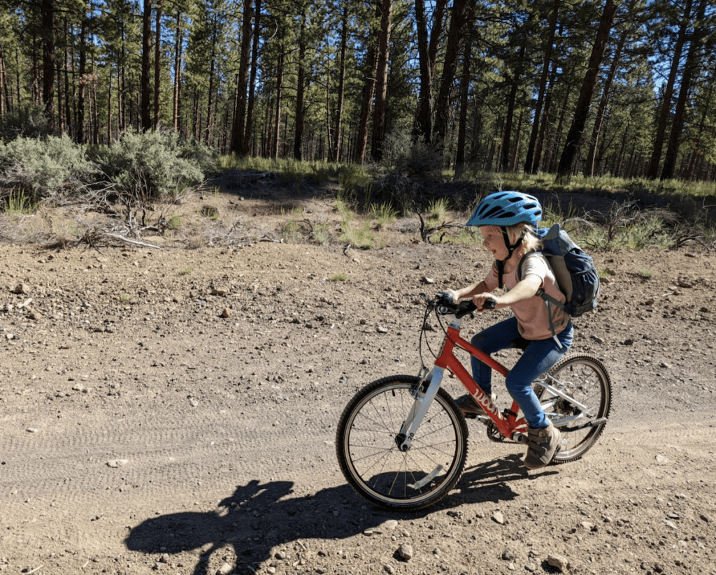 Young child on a mountain bike