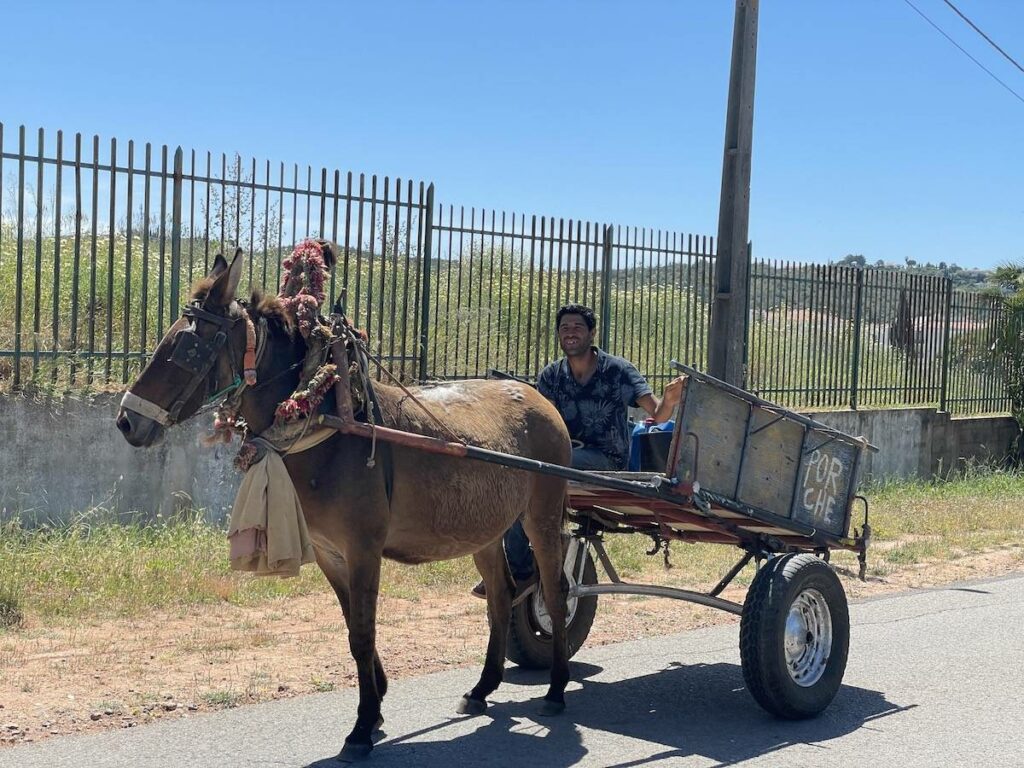Donkey cart and driver  on the road in the central Algarve region near the village of Silves.
