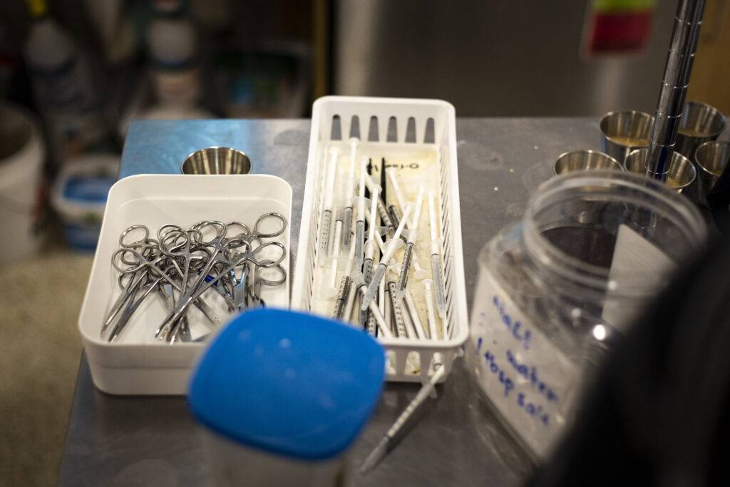 Feeding tools for the variety of nutrition provided to avian patients in the wildlife hospital's songbird room.