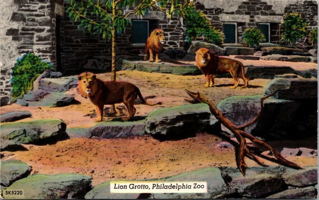 Lion Grotto at Philadelphia Zoo.