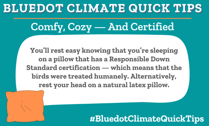 Climate Quick Tip:Comfy, Cozy — And Certified You’ll rest easy knowing that you’re sleeping on a pillow that has a Responsible Down Standard certification — which means that the birds were treated humanely. Alternatively, rest your head on a natural latex pillow. Responsible Down Standard certification — which means that the birds were treated humanely.